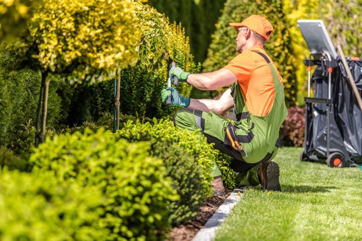 Entretien jardin